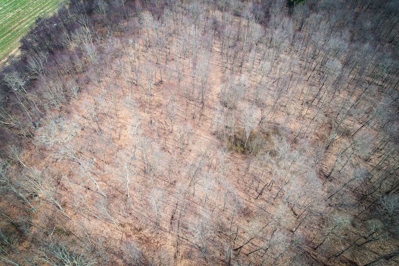 dji_fly_20260302_104550_547_1772466890470_photo