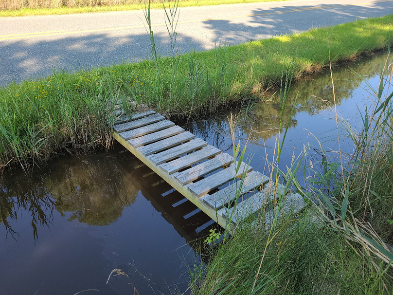 11.055ac dorchester footbridge
