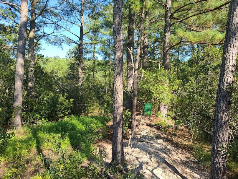 11.055ac dorchester feederbarrel