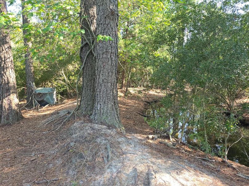 11.055ac dorchester levee2