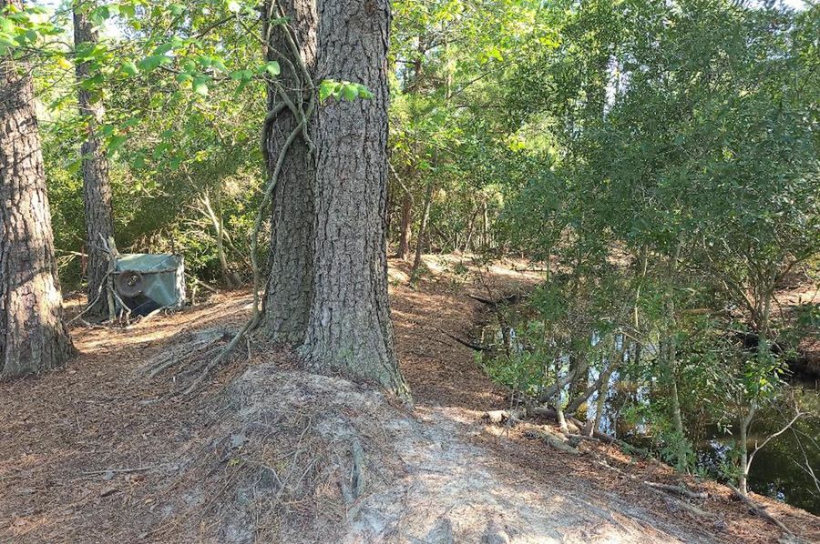 11.055ac dorchester levee2