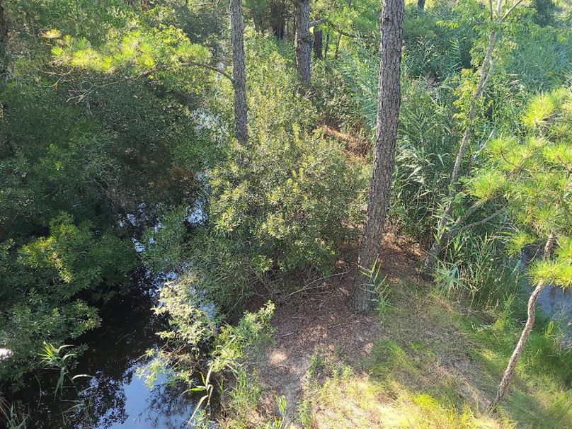 11.055ac dorchester treestandview