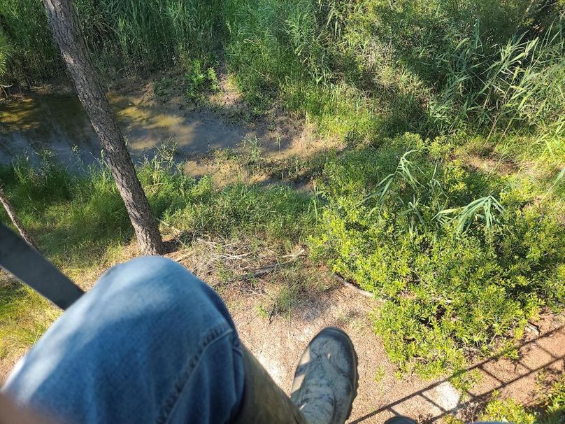 11.055ac dorchester view