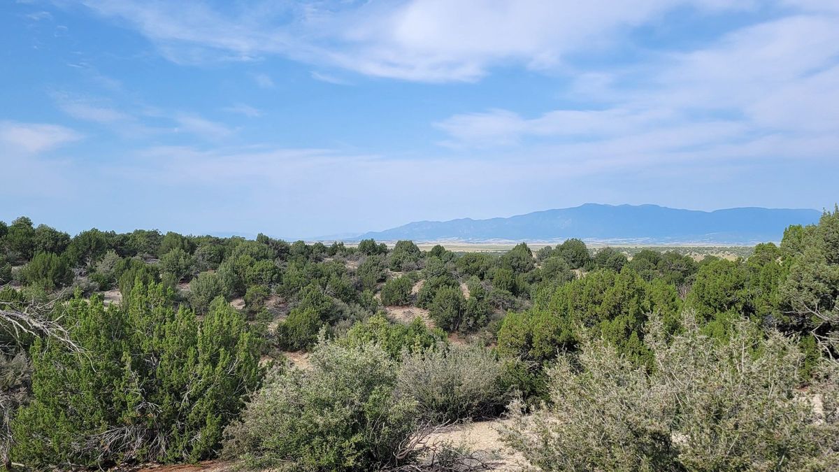 Mountain Views On Hatchet Ranch East, Great Access Whitetail Properties