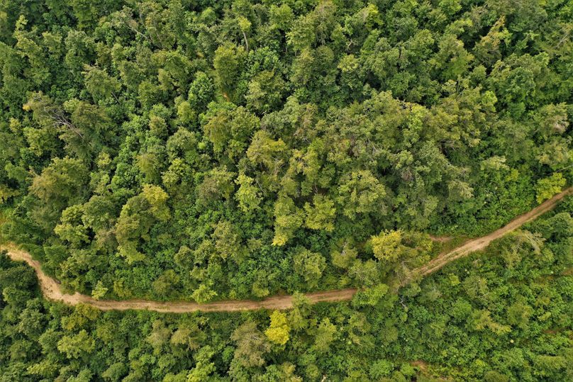 006 birds eye view looking down on the nearly perfect internal road system