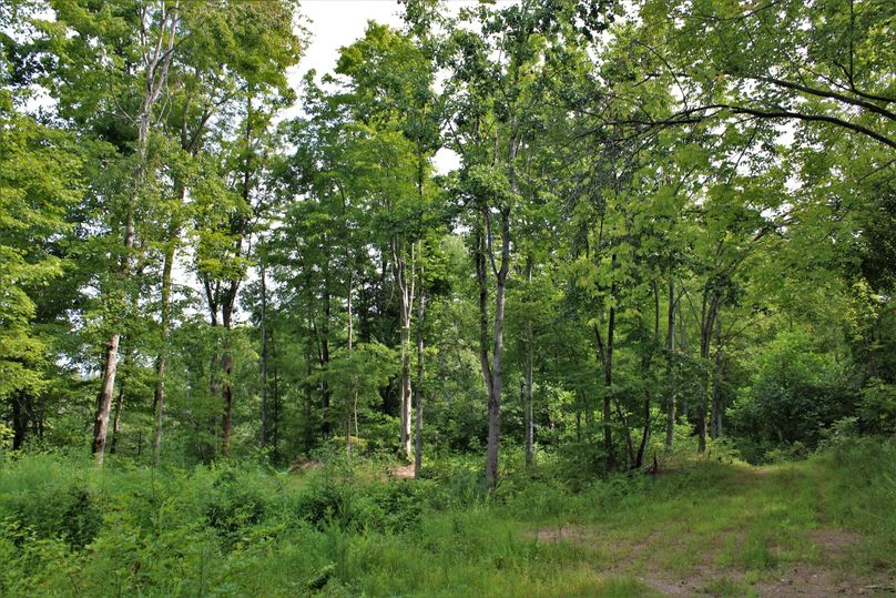 008 more great pads over looking the valley