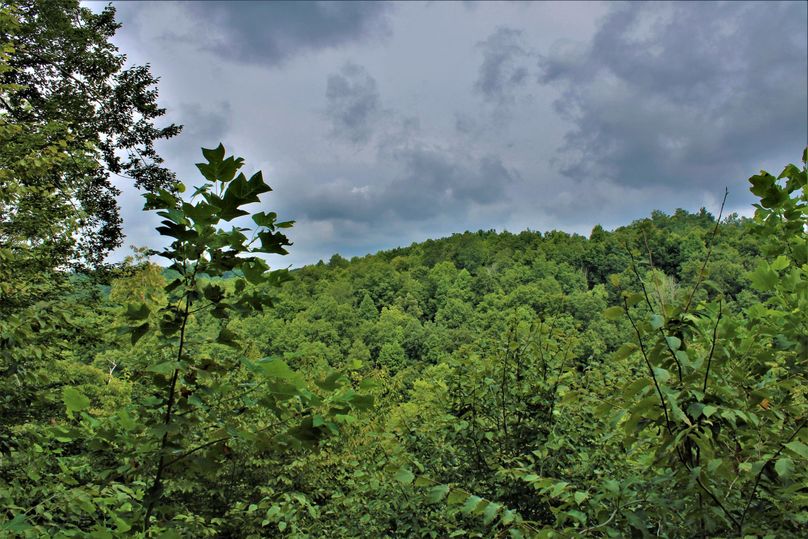 009 gorgeous view overlooking valley to the north