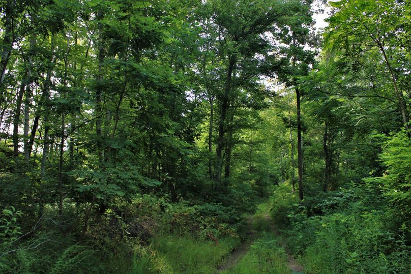 012 beautiful trails through the brush and timber throughout the property