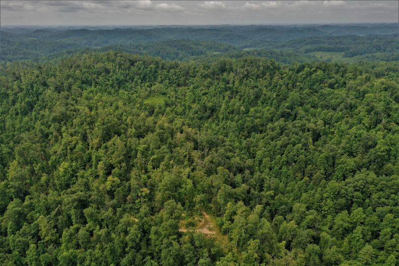 017 overlooking the property from the valley with a few cleared cabin seats in sight