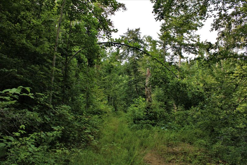 015 miles of internal roads throughout the property