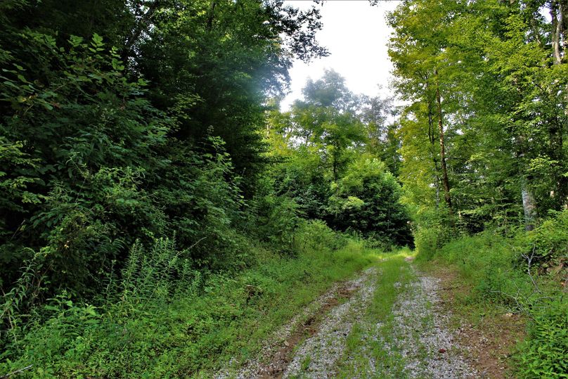 016 gravel road entrance to the property