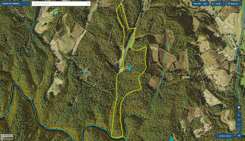 045 wolfe 82 mapright aerial zoomed in with contour lines and water features