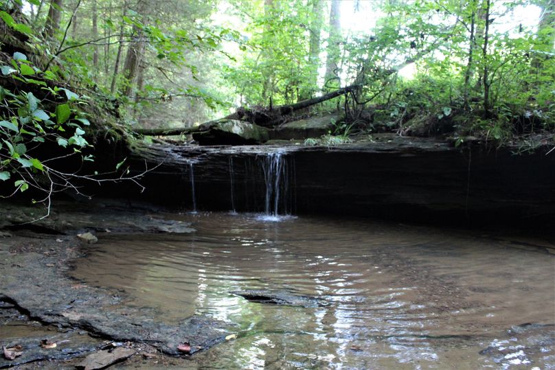 007 the waterfall along the west boundary of the property