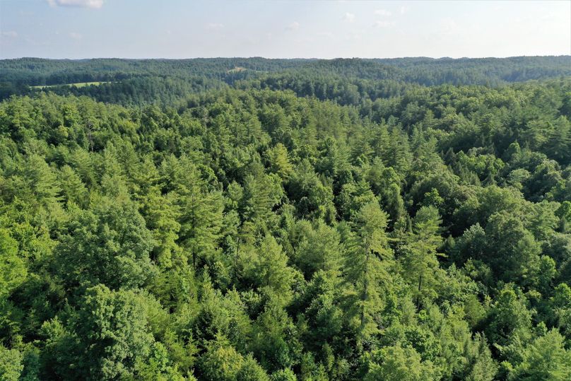 013 low elevation aerial drone shot from just south of the pond looking south