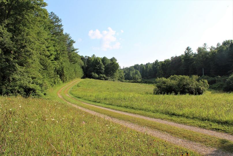 010 the entrance driveway in the middle of the property as you approach the cabin