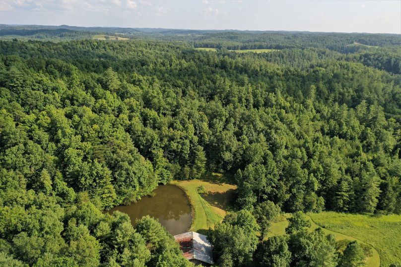 011 mid elevation aerial drone shot from the middle of the property looking south into national forest