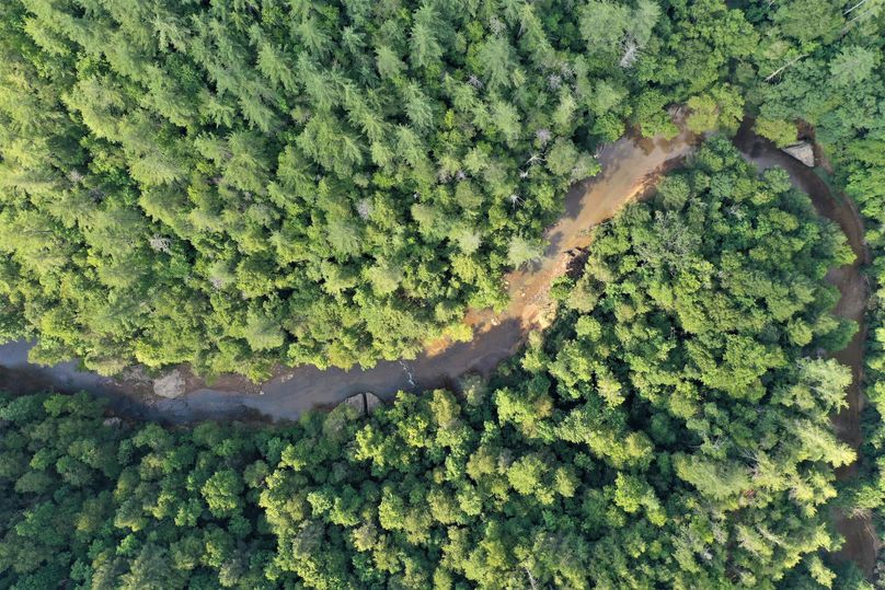 019 aerial drone shot straight down along the south boundary and national forest