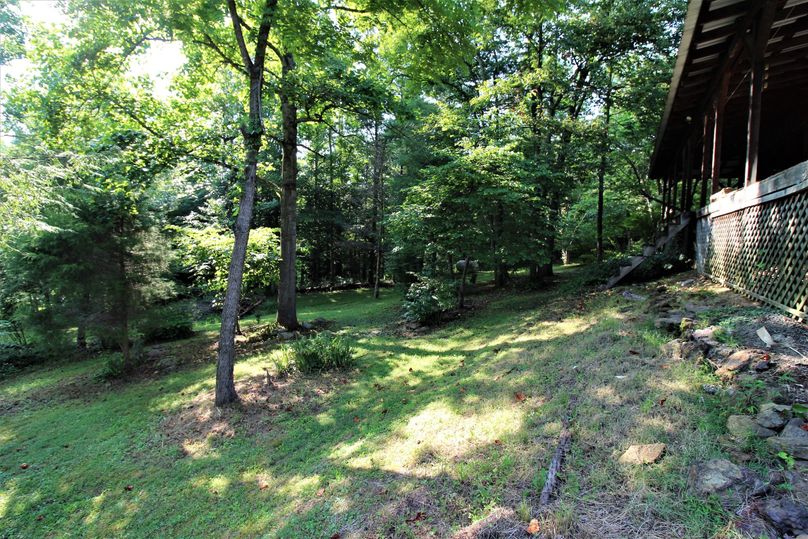 023 beautifully groomed front yard off the porch of the cabin
