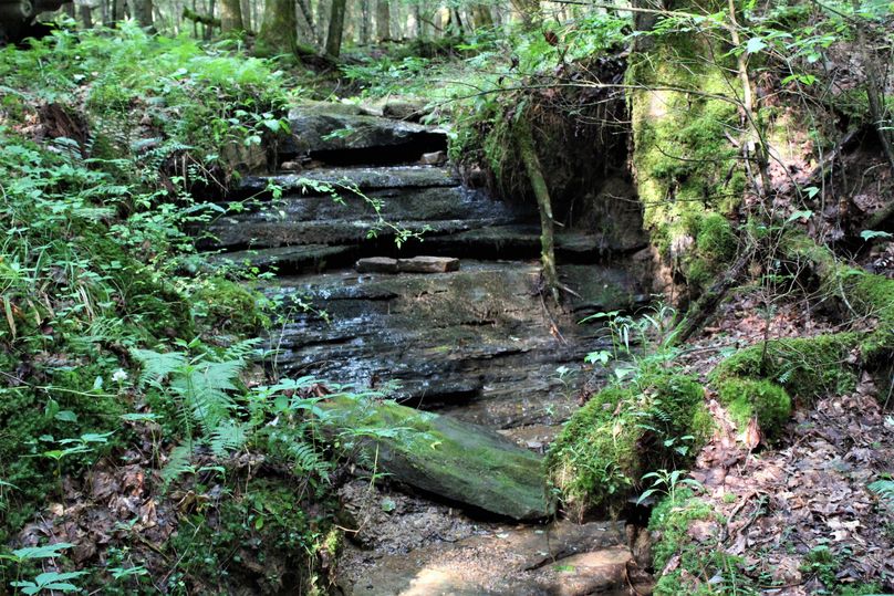 021 a beautiful rock drain near the west boundary