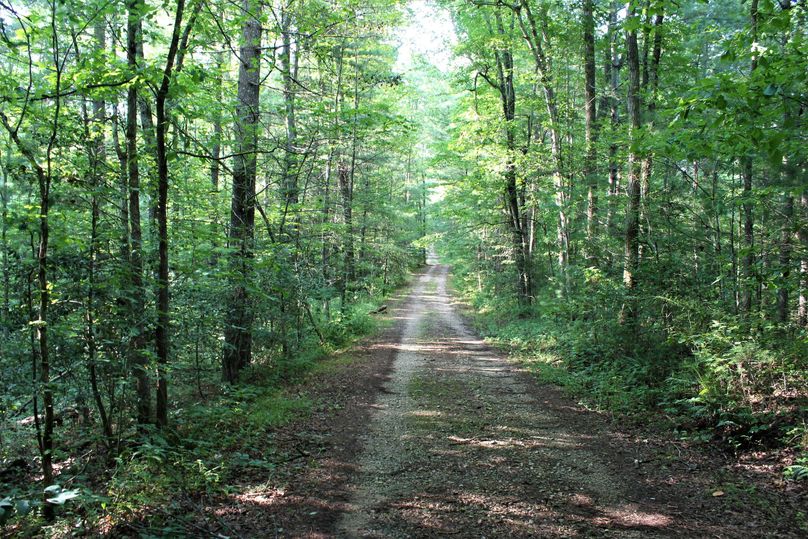 025 the driveway leading in from the entrance gate at the northwest edge