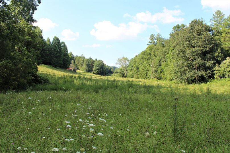 026 open field area along the west creek boundary