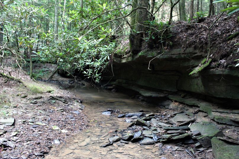 029 super cool stream features along the west boundary