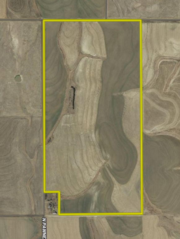 Screen shot 2021-08-19 at 11.17.41 am