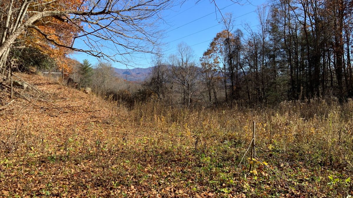 Breathtaking And Affordable Piece Of The Blue Ridge Mountains Whitetail Properties