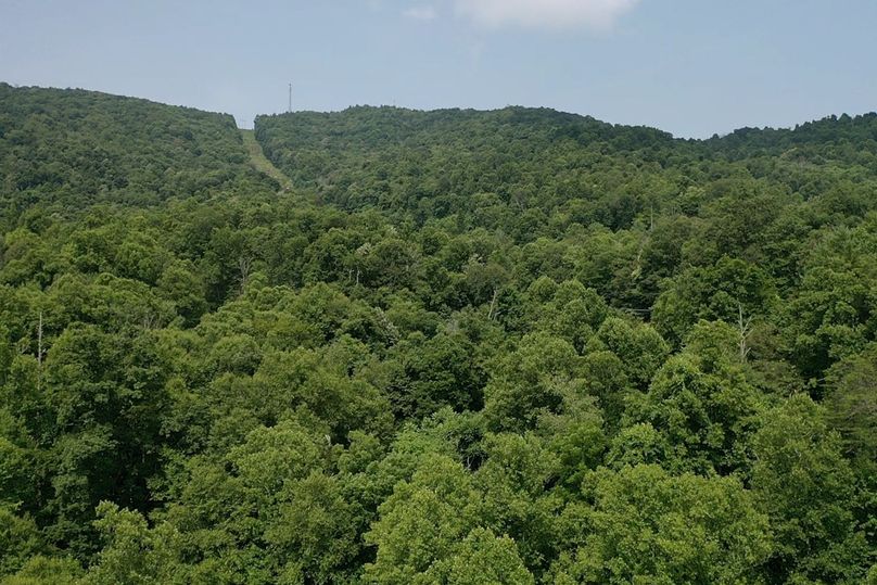 006 Powerline Easement