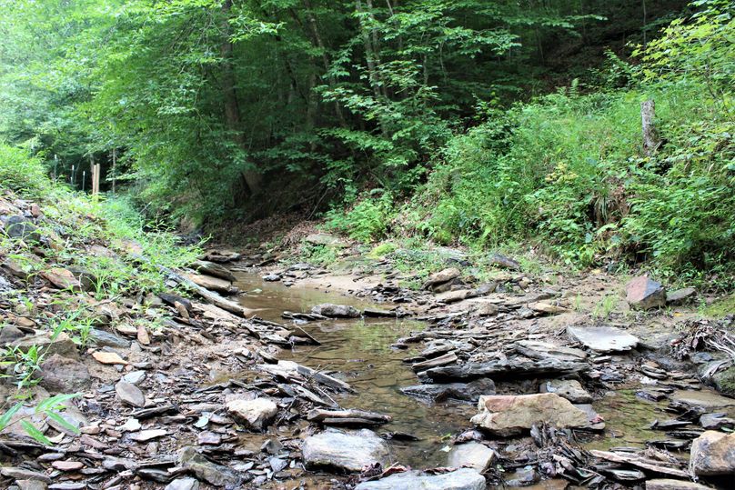 002 blue line stream flowing originating on and flowing through the property