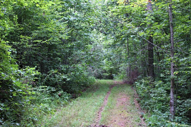 010 one of the many well groomed trails leading throughout the property