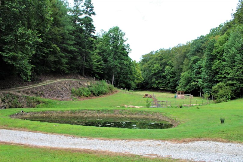 005 the small pond and the fully fenced goat lot