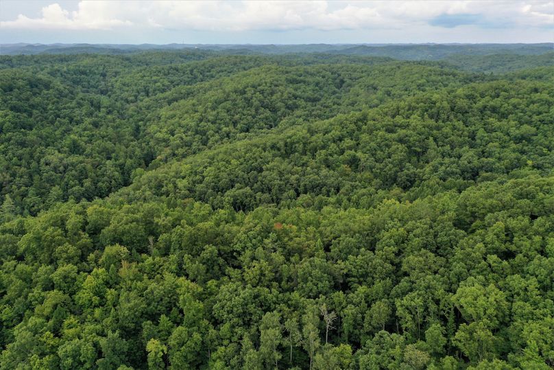 003 aerial drone shot from the center of the property looking to the northeast