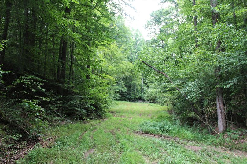 009 great spot for planting that perfect food plot in the valley