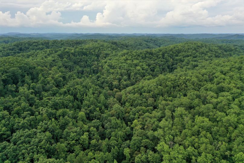 015 aerial drone shot in the north portion of the property