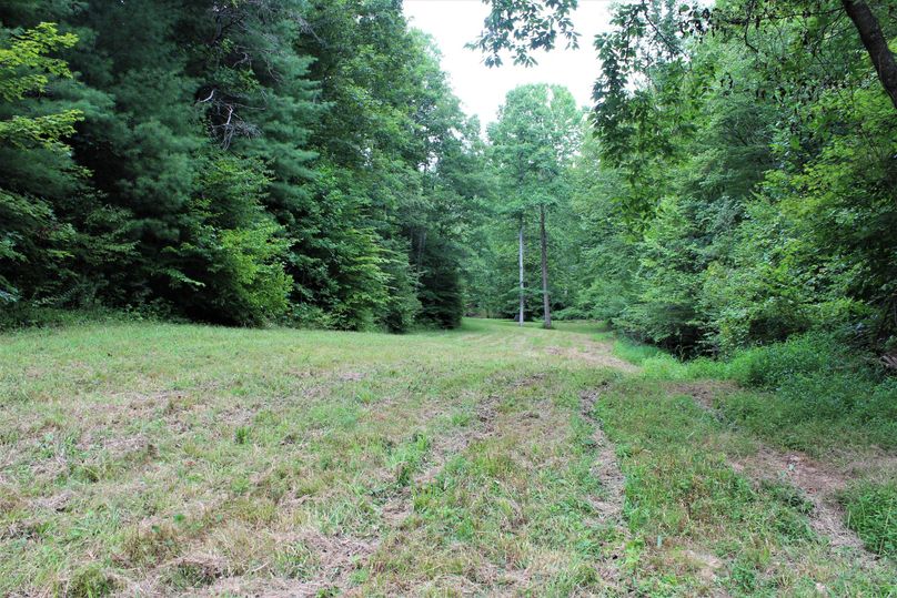 034 one of the perfect food plot areas in the main valley