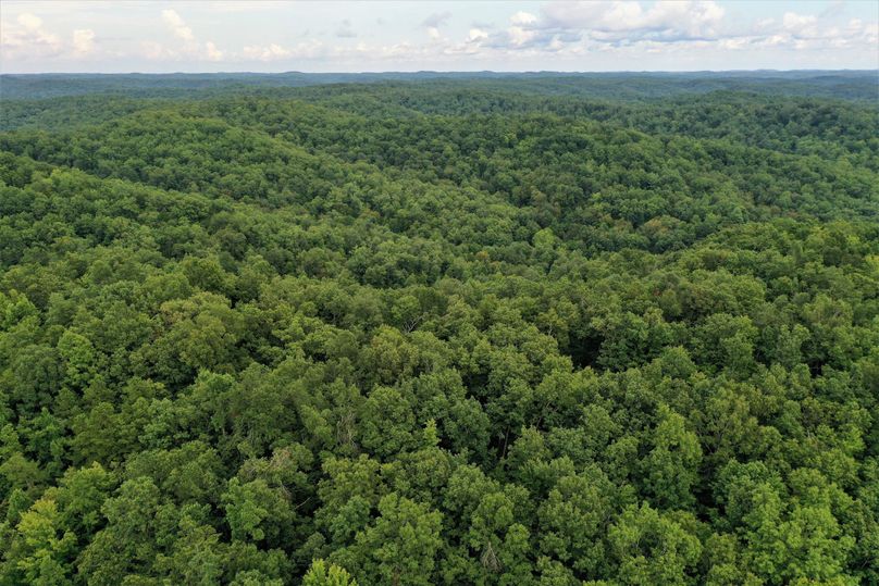 019 aerial drone shot from the center of the property looking southwest