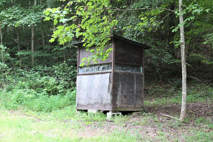 027 even have a small ground blind up the valley near the cabin