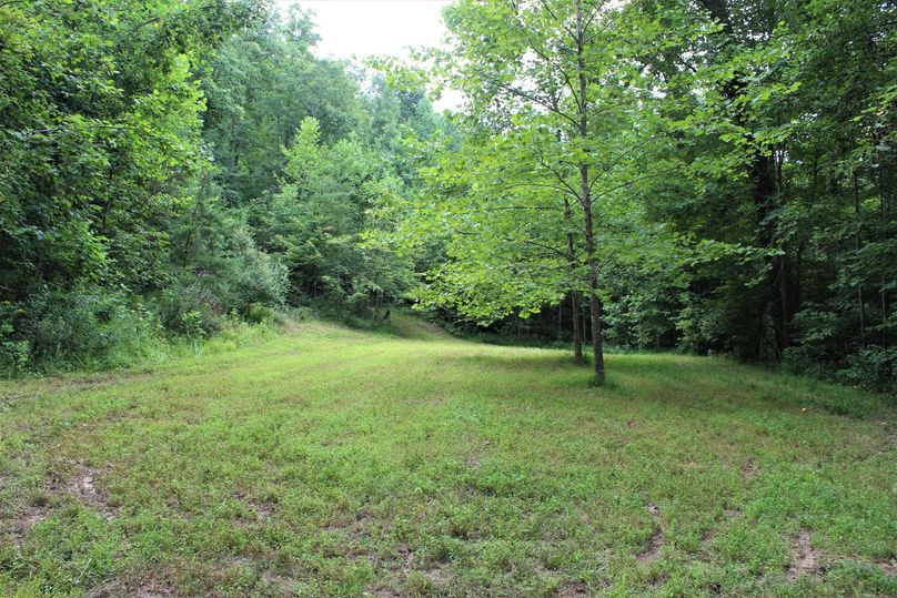 026 mid level field on a bench in the north portion of the property