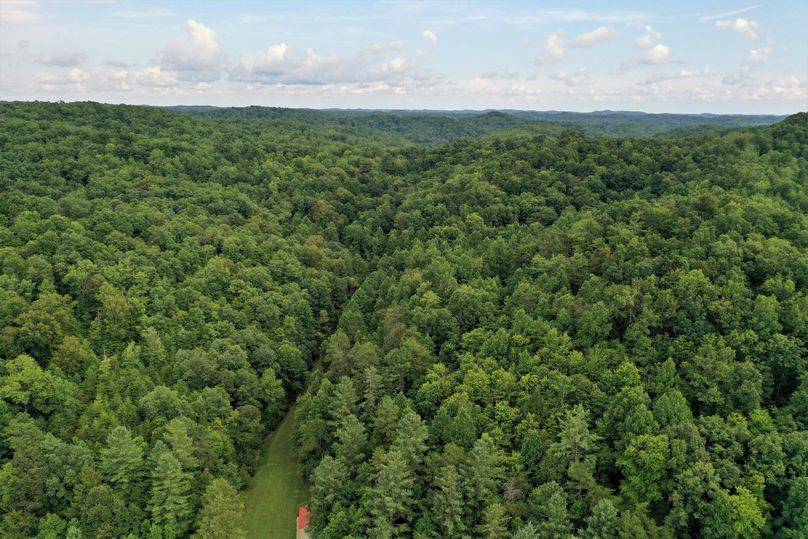 028 aerial drone shot up the valley behind the cabin