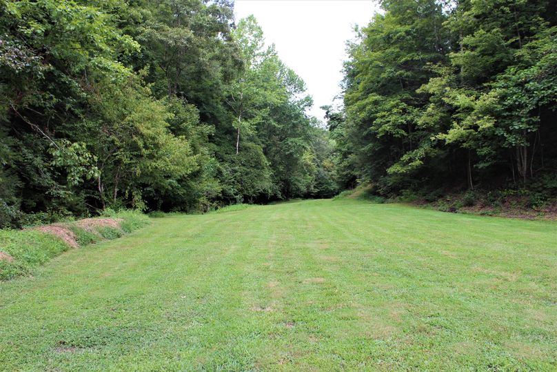 004 one of the open field areas out back of the cabin