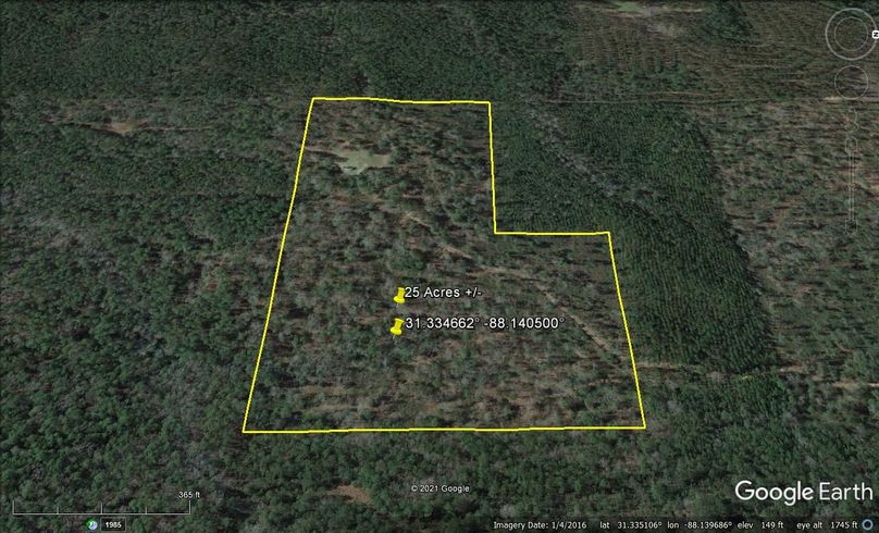 Aerial 5 approx. 25 acres washington county, al