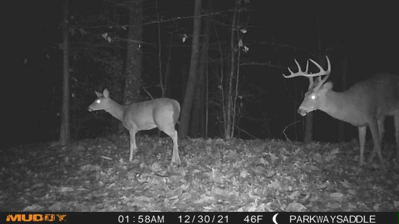 1640867475433_602495890203914