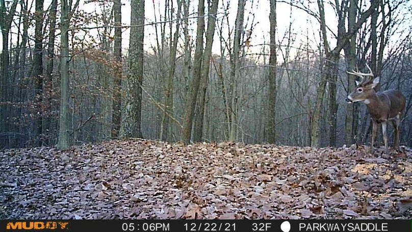 1640225721204_682660284386198