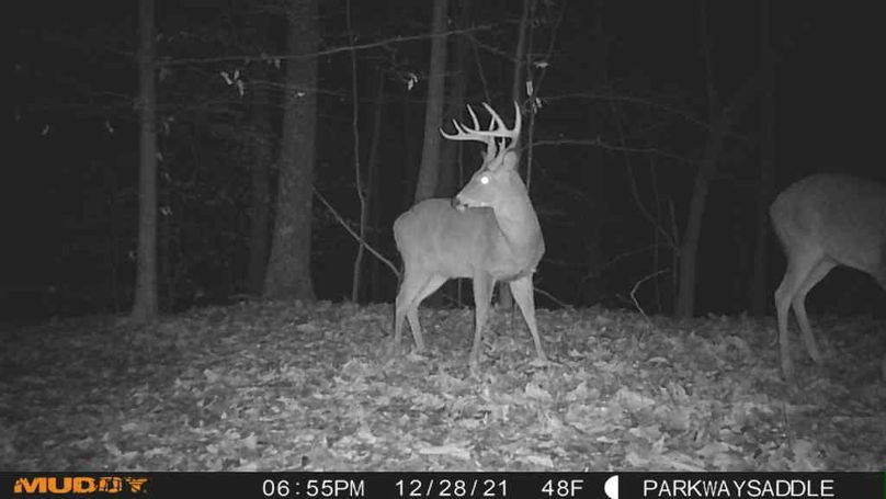 1640736829908_471838519891412