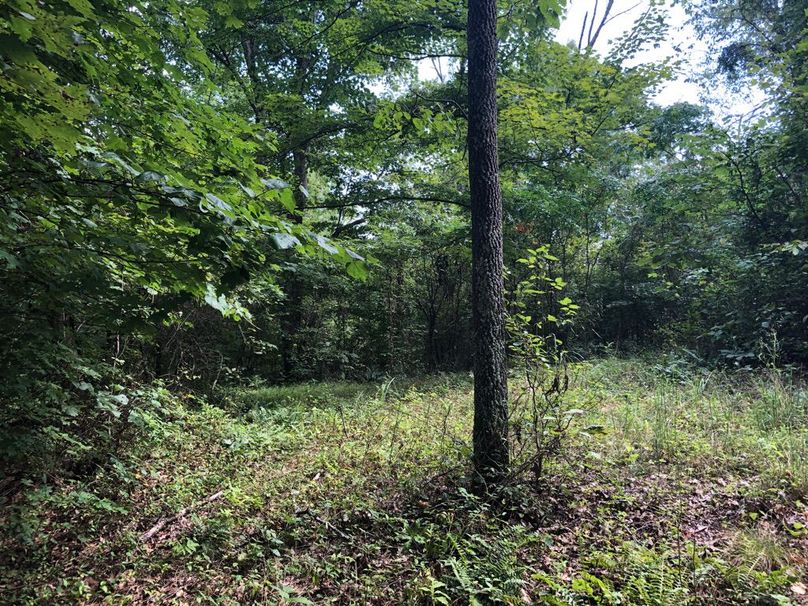 A4c1614a-b2f1-4393-b0e7-c390422e1060 1 105 c