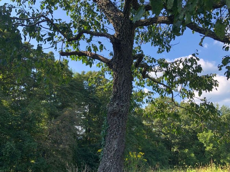 A7f5bfc9-c5a9-4ac7-913e-dbf738322e94 1 105 c