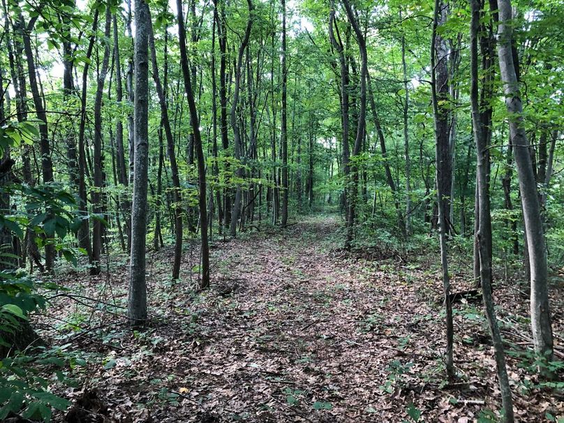 A9c12c39-fc6c-4801-a15e-7ae1812cb413 1 105 c