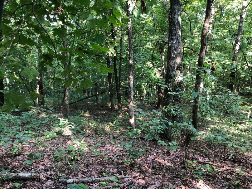 A9c7670e-b829-4219-94b3-0ba55145634a 1 105 c