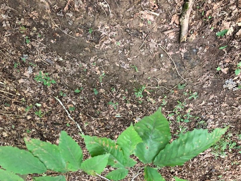 A23ec06e-af96-45ee-ab25-89fd6517e33c 1 105 c